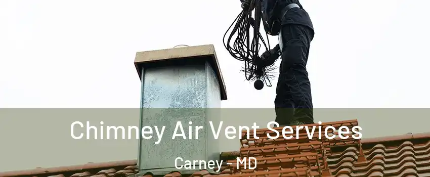  Chimney Air Vent Services Carney - MD