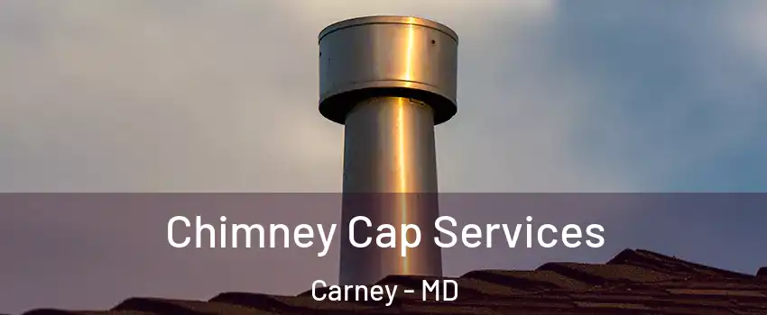  Chimney Cap Services Carney - MD