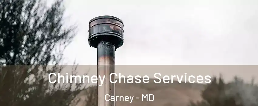  Chimney Chase Services Carney - MD