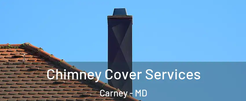  Chimney Cover Services Carney - MD