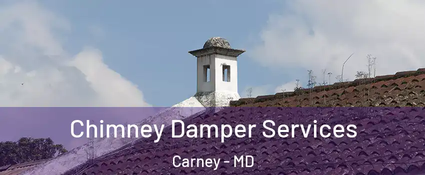  Chimney Damper Services Carney - MD