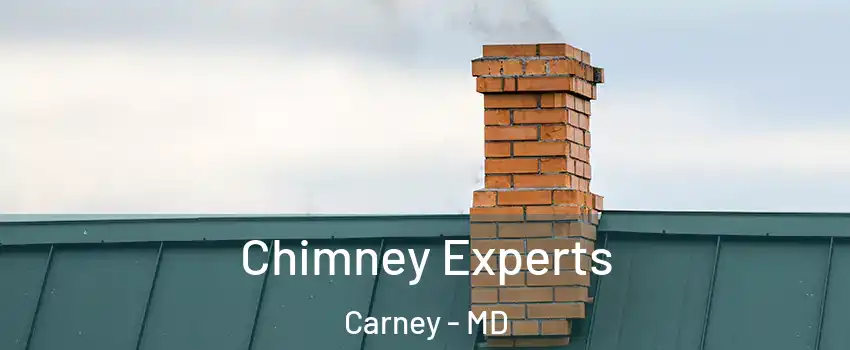 Chimney Experts Carney - MD