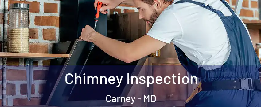  Chimney Inspection Carney - MD