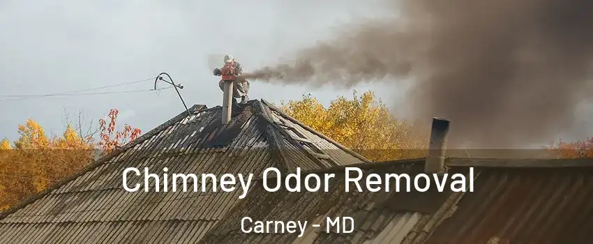  Chimney Odor Removal Carney - MD