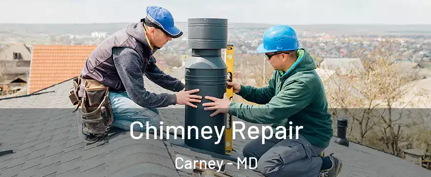  Chimney Repair Carney - MD