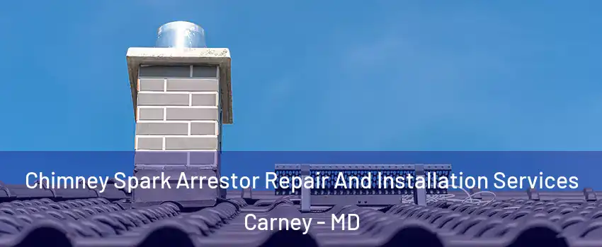  Chimney Spark Arrestor Repair And Installation Services Carney - MD