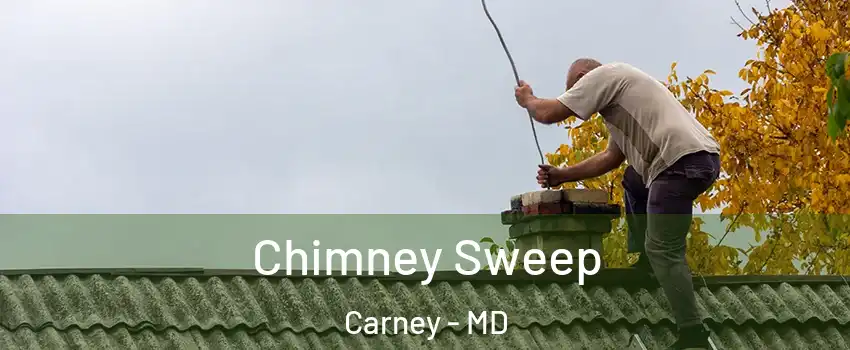  Chimney Sweep Carney - MD
