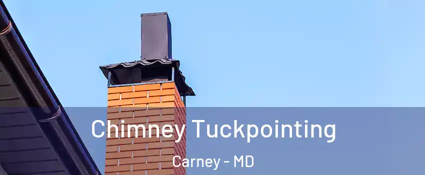  Chimney Tuckpointing Carney - MD