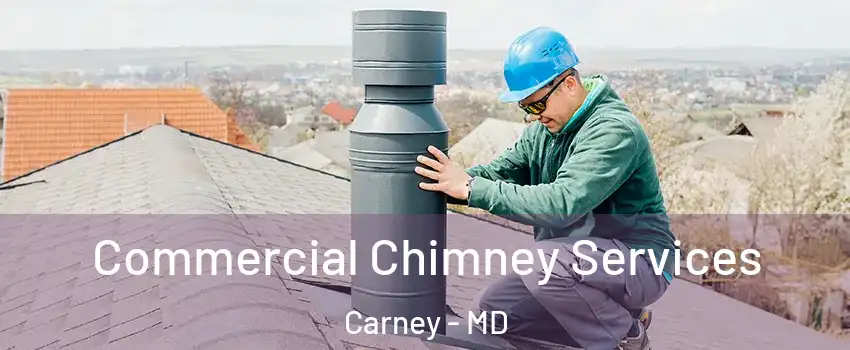  Commercial Chimney Services Carney - MD