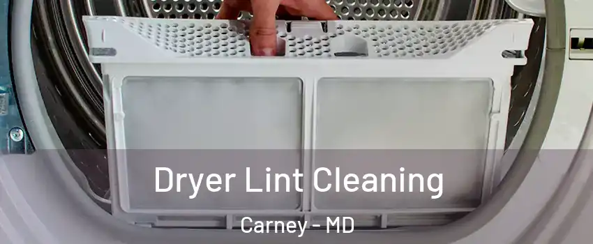  Dryer Lint Cleaning Carney - MD