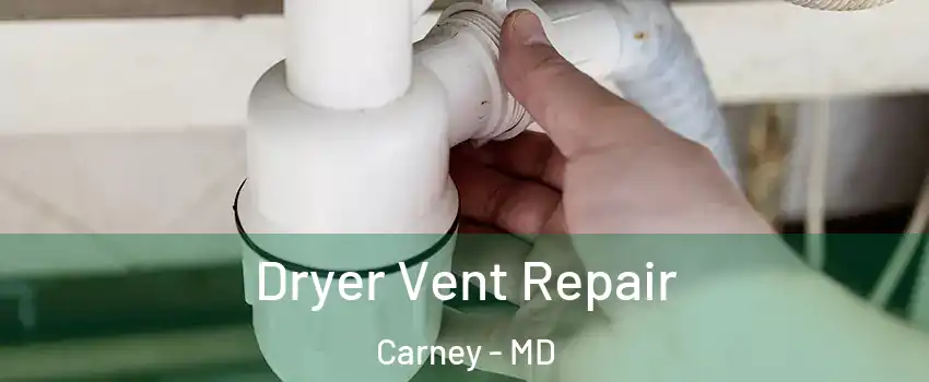  Dryer Vent Repair Carney - MD
