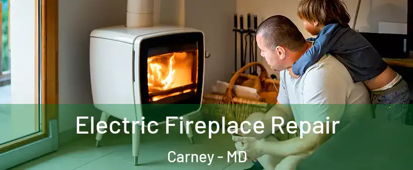  Electric Fireplace Repair Carney - MD