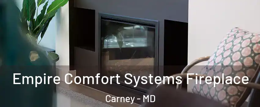  Empire Comfort Systems Fireplace Carney - MD