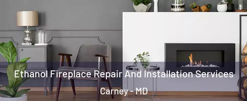  Ethanol Fireplace Repair And Installation Services Carney - MD