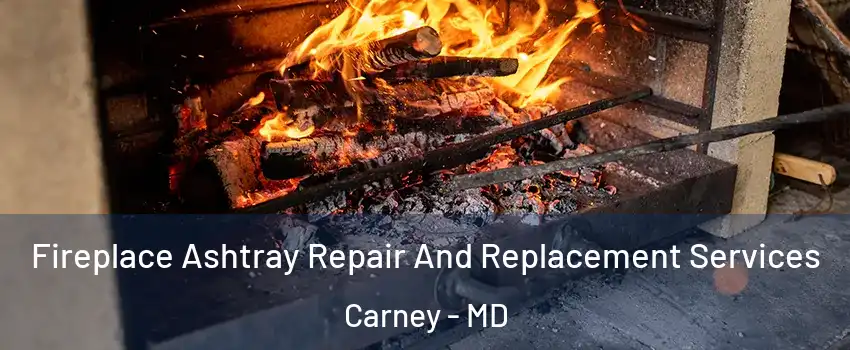  Fireplace Ashtray Repair And Replacement Services Carney - MD