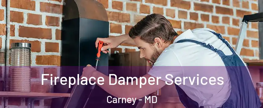  Fireplace Damper Services Carney - MD