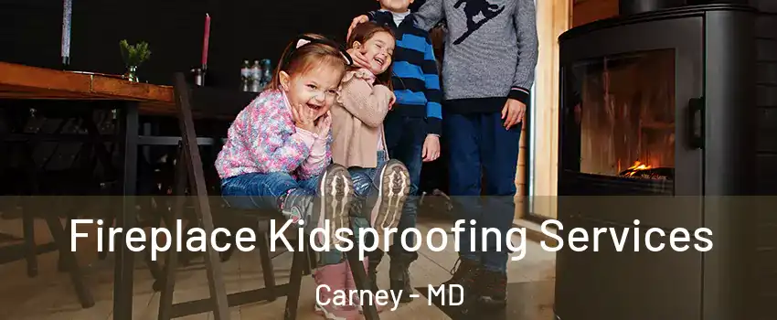  Fireplace Kidsproofing Services Carney - MD