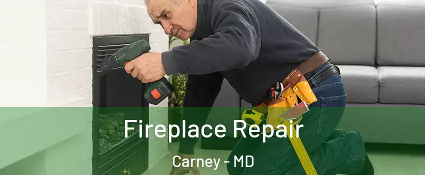  Fireplace Repair Carney - MD