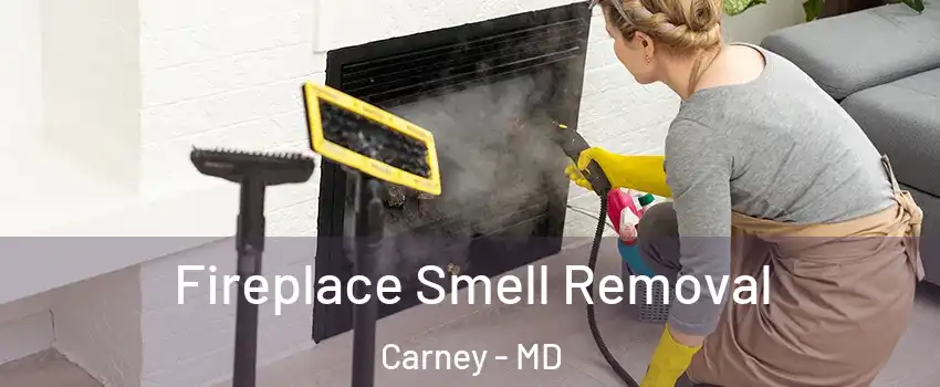  Fireplace Smell Removal Carney - MD