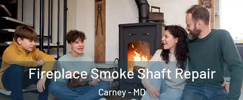  Fireplace Smoke Shaft Repair Carney - MD