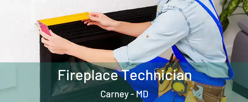 Fireplace Technician Carney - MD