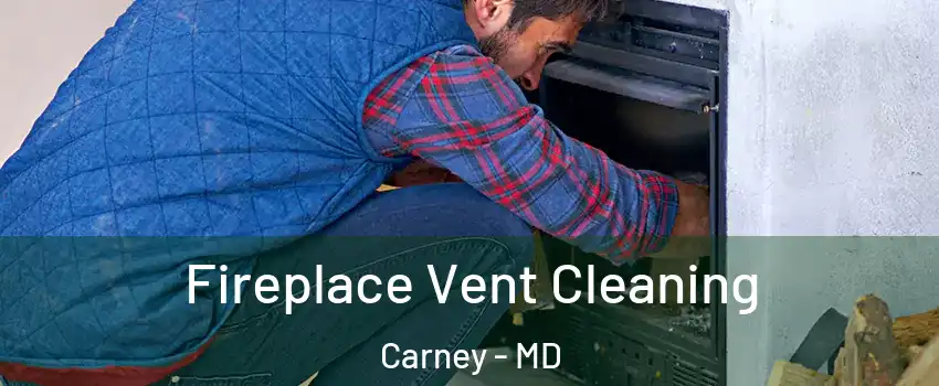  Fireplace Vent Cleaning Carney - MD