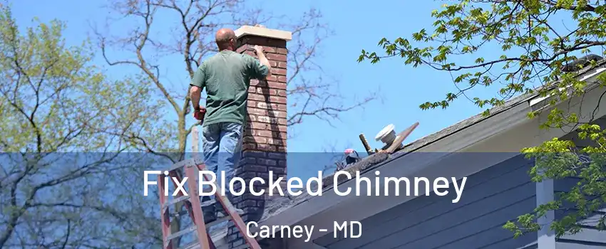  Fix Blocked Chimney Carney - MD