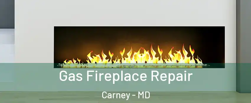  Gas Fireplace Repair Carney - MD