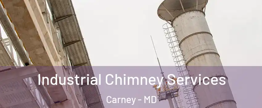  Industrial Chimney Services Carney - MD