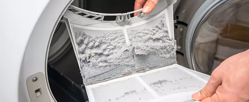 Best Dryer Lint Removal Company in Carney, Maryland