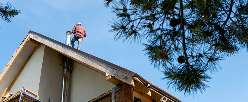 Birds Removal Contractors from Chimney in Carney, MD