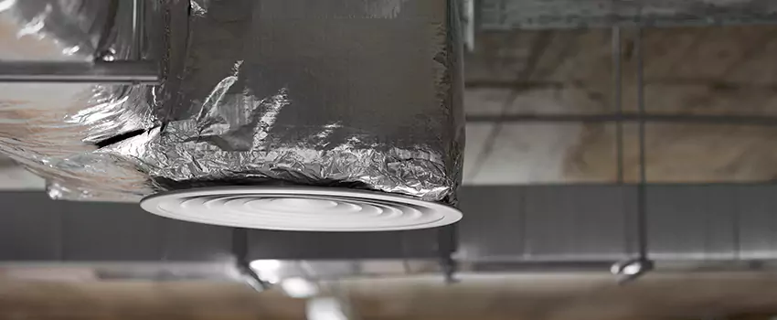 Signs of Dust Accumulation in Vents in Carney, MD