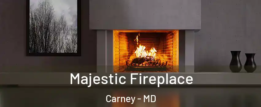  Majestic Fireplace Carney - MD
