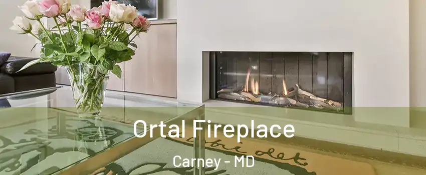 Ortal Fireplace Carney - MD