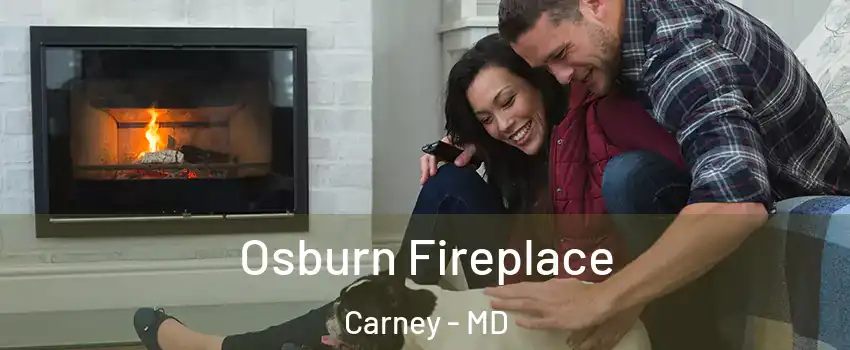  Osburn Fireplace Carney - MD