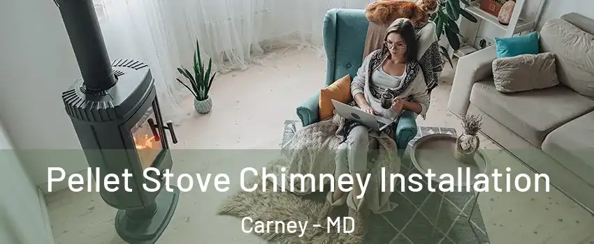 Pellet Stove Chimney Installation Carney - MD