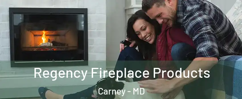  Regency Fireplace Products Carney - MD